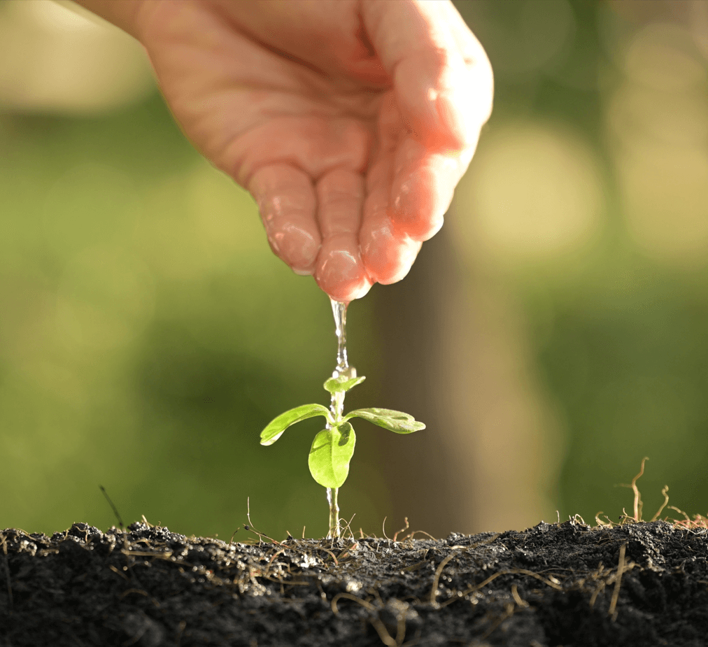 Política de Sostenibilidad