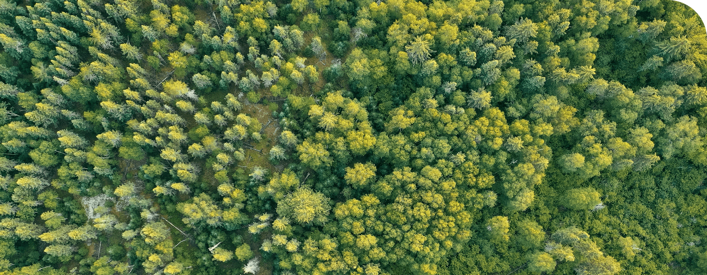 Sub pages hero image