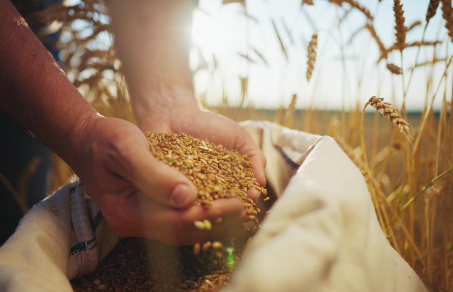 Historical image from 2010