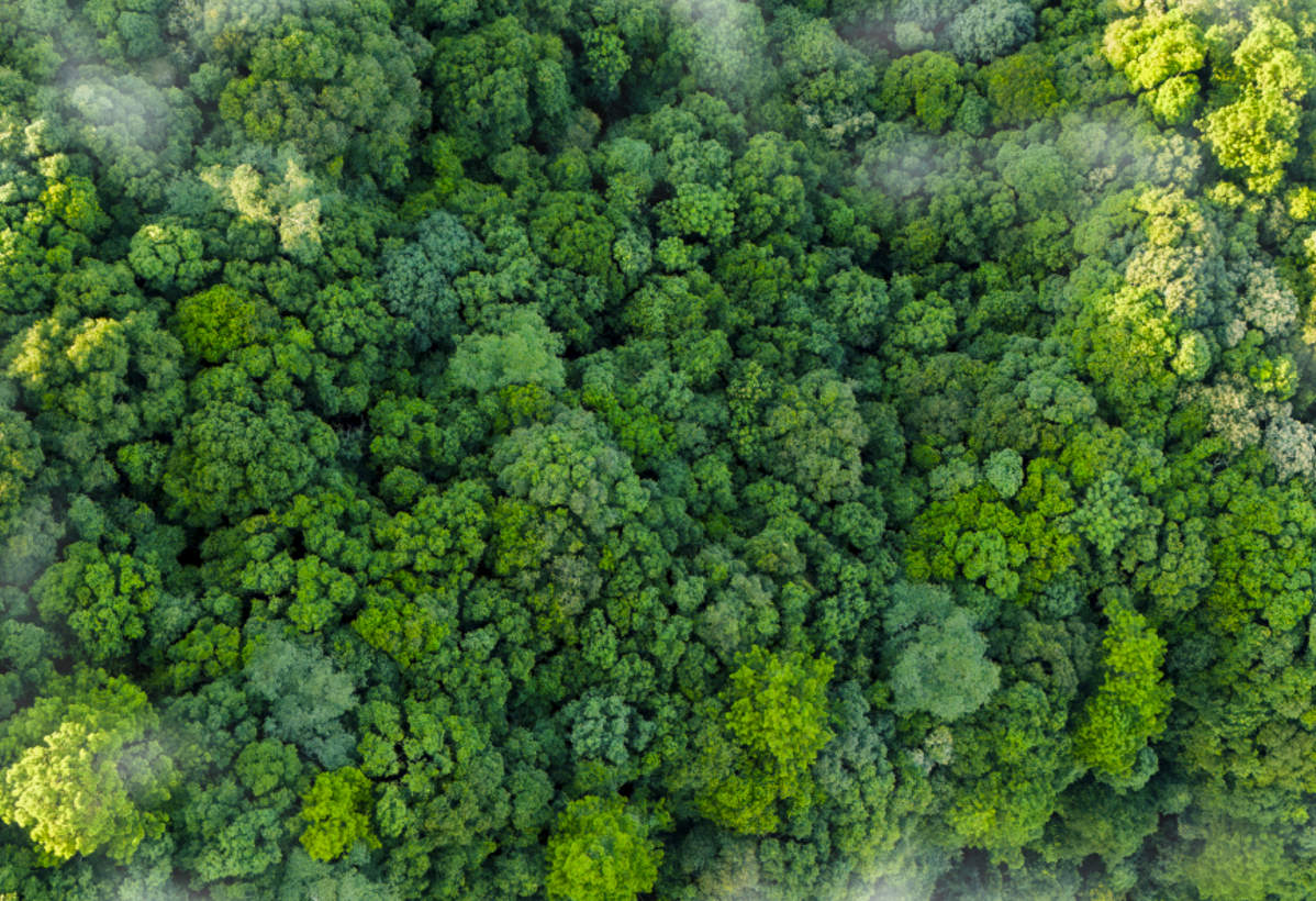 Historical image from 2016